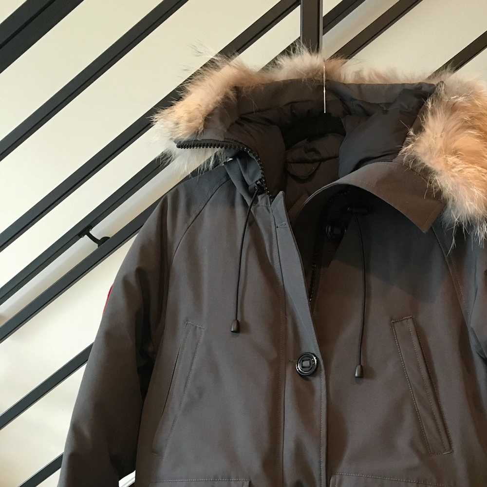 Canada goose chilliwack bomber